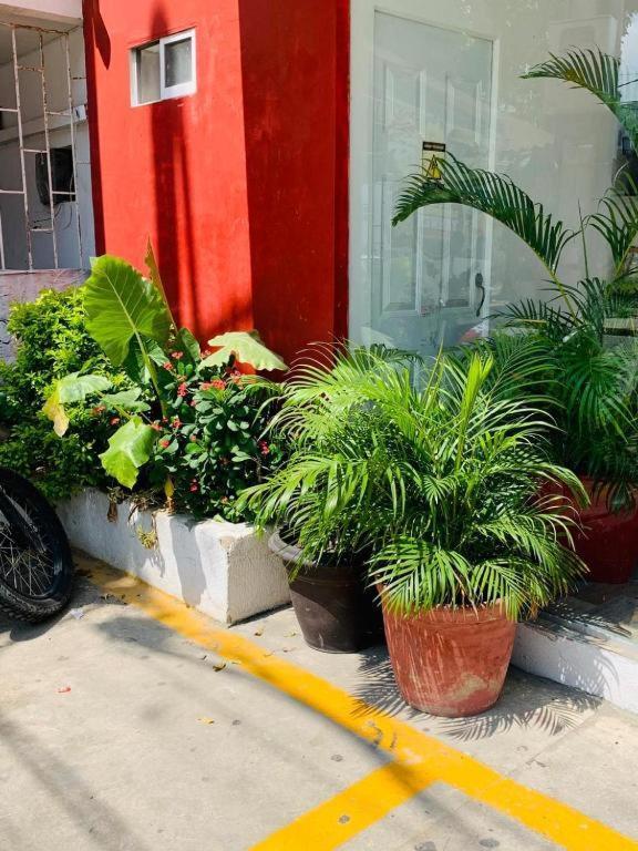 Hotel Bellamar Cartagena 외부 사진
